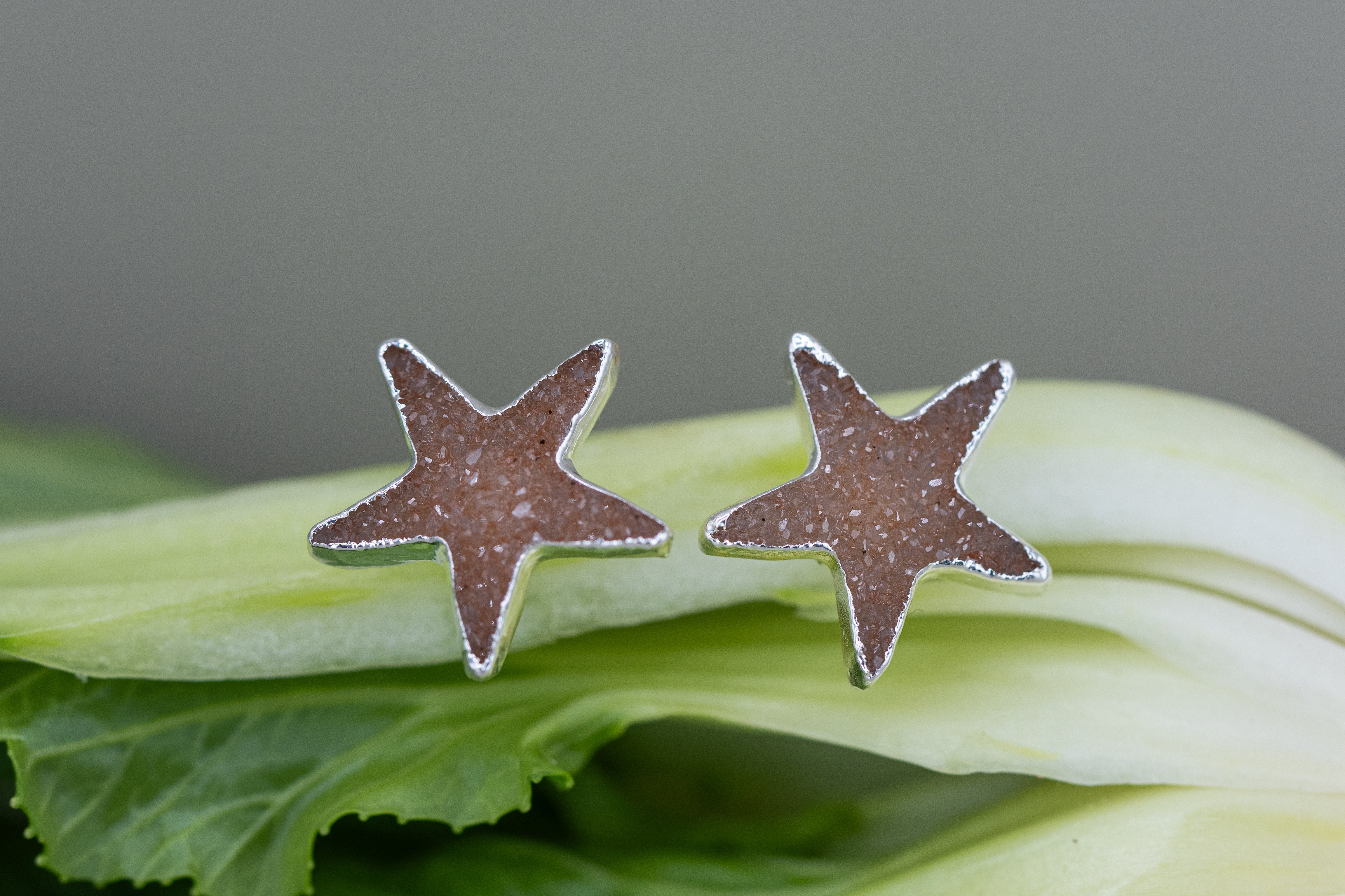 Druzy Ohrstecker Seestern – 18K vergoldet, nickelfrei