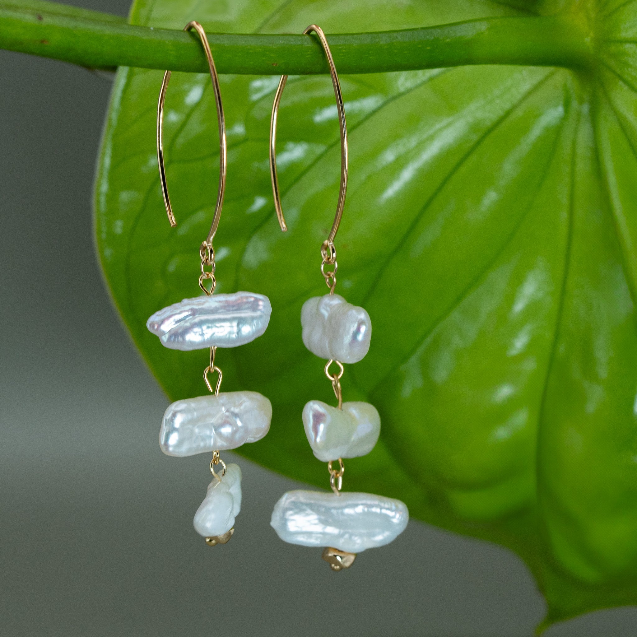 KATHARYNA OHRSTECKER